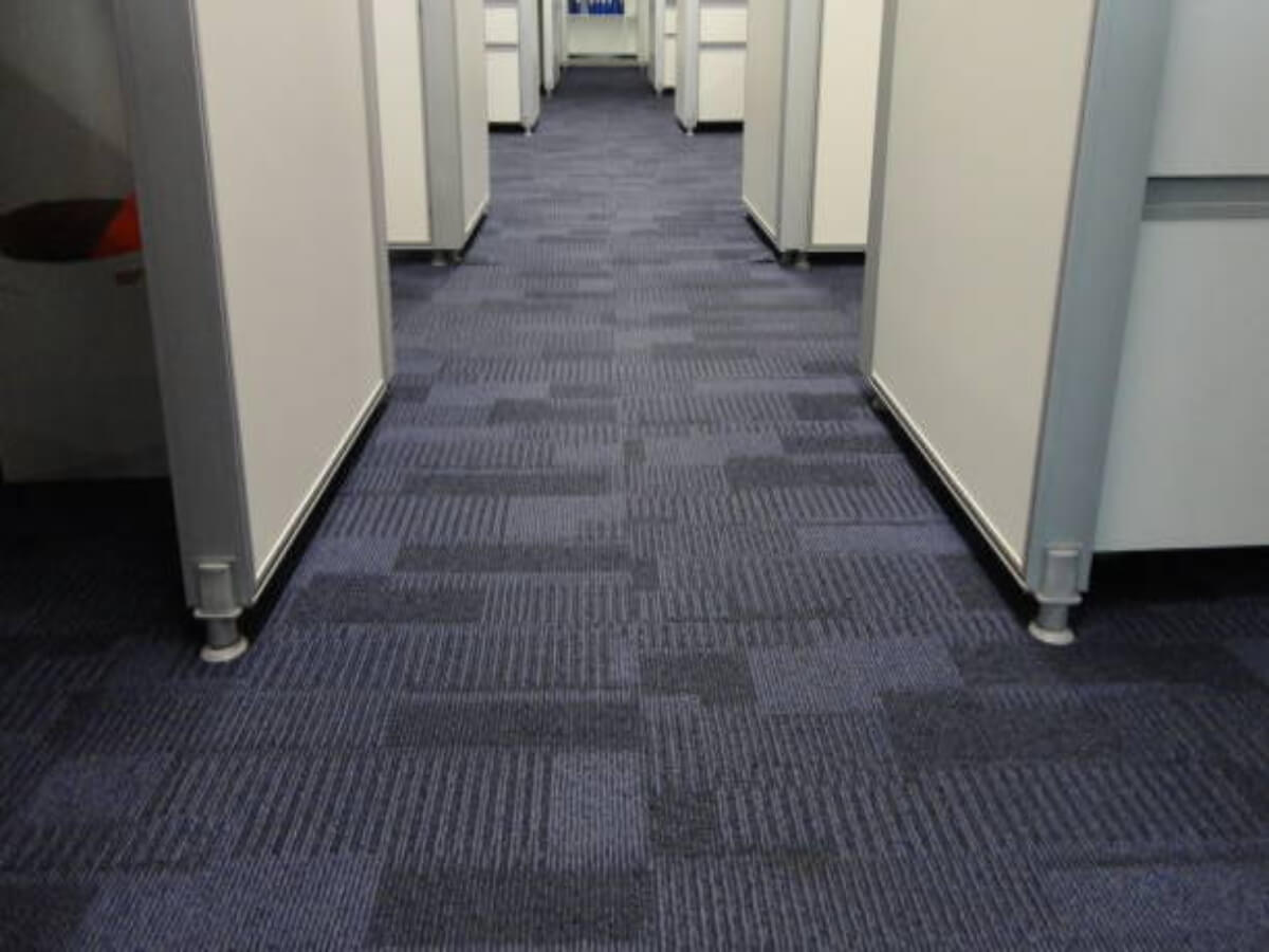 This is a picture of Office Carpet
